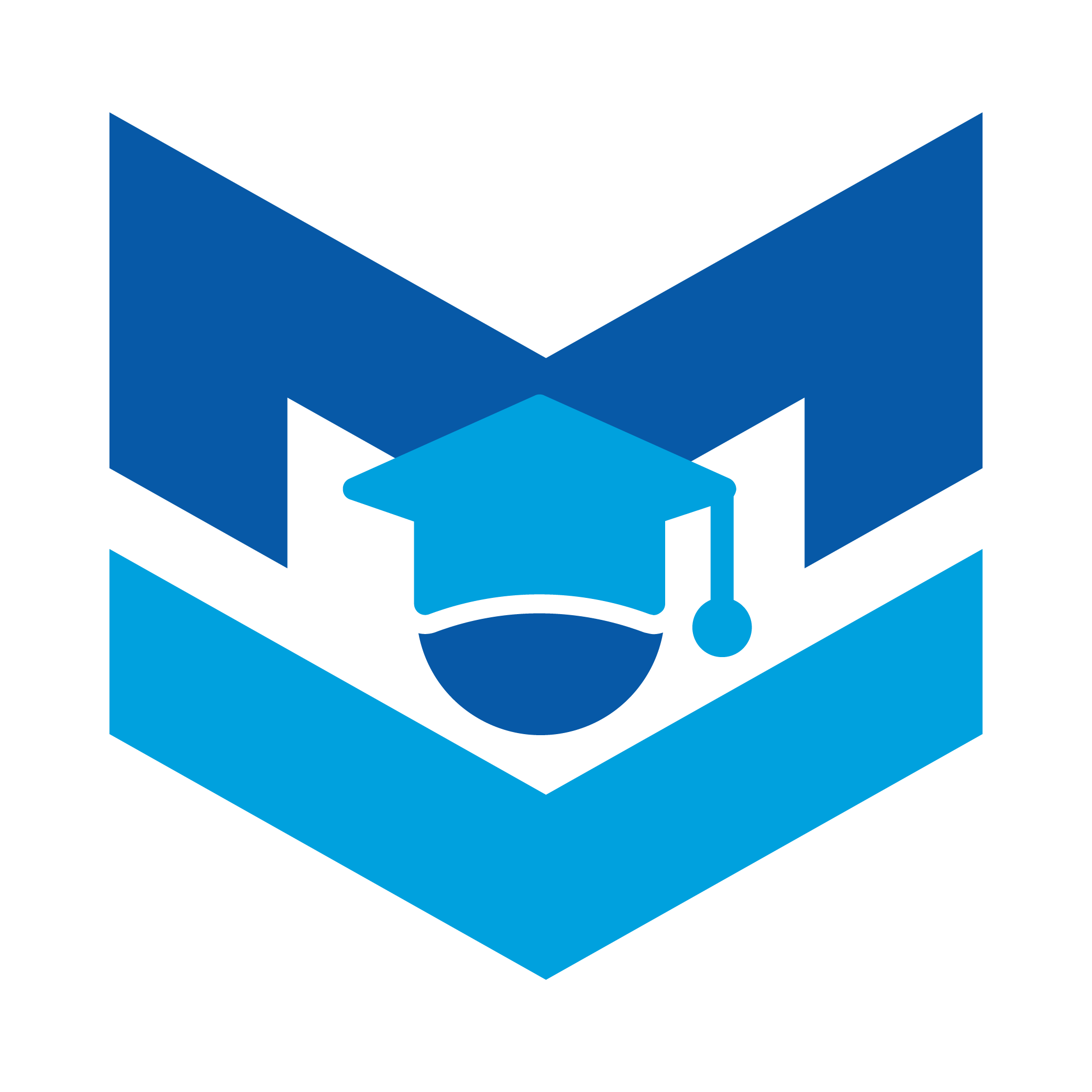 MyVidya Logo